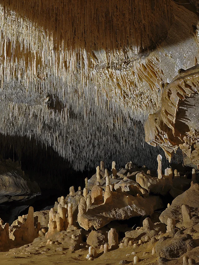 Grottes de Cougnac
