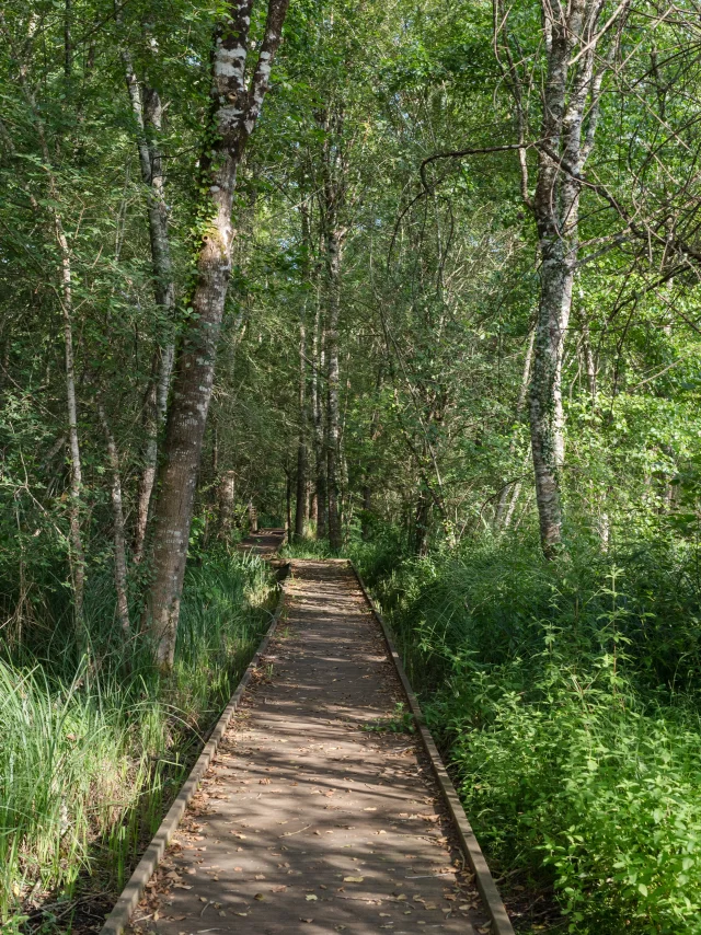 Office De Tourisme Du Pays De Gourdon F.lacan 150725183139