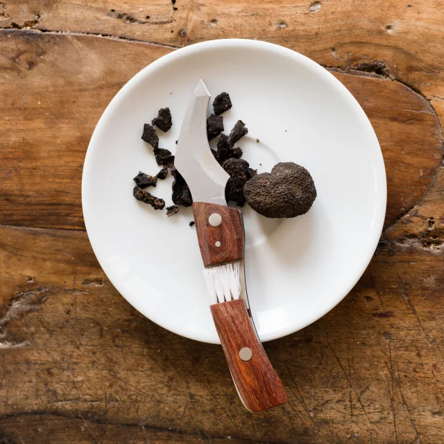 Truffe noire dans une assiette