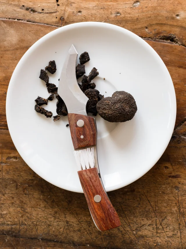 Truffe noire dans une assiette