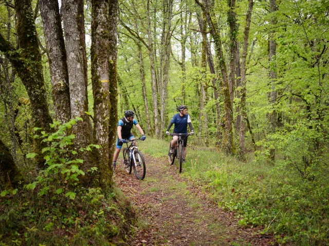 Pays De Gourdon Entre Lot Dordogne F.lacan 240425080705