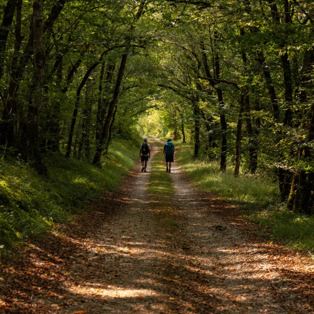 Randonneurs sur le GR 652 en Bouriane