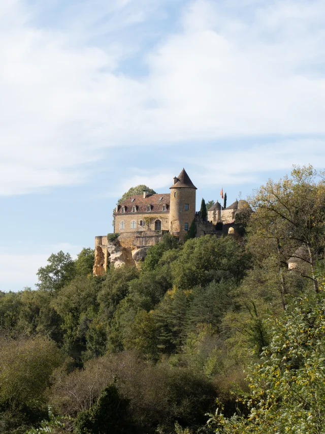 Vue du château de Milhac de loin