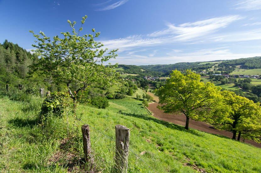 Paysage du Ségala