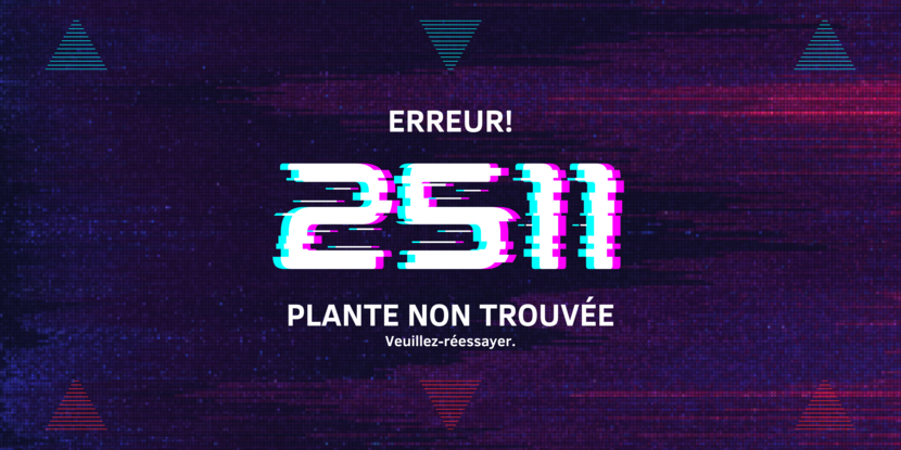 2511, mission sauvetage erreur